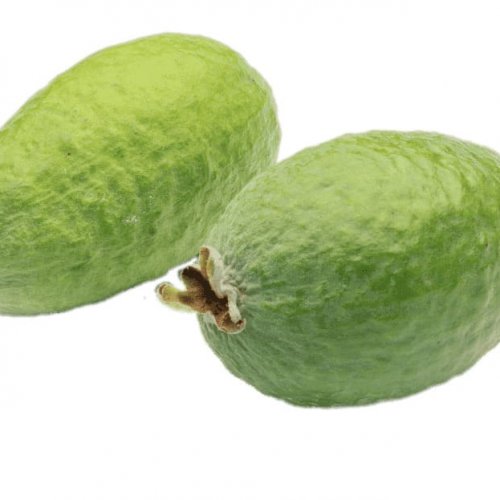 Feijoa Kilo x 1000 g