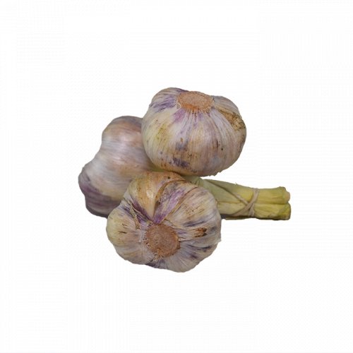 Ajo Criollo Atado 1 und