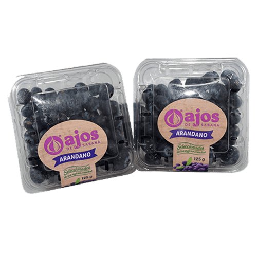 Arandano Fruto Recipiente 1 und