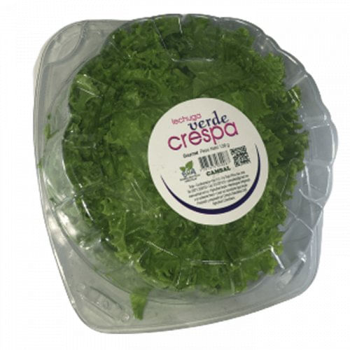 Lechuga Gourmet Crespa Verde 120 g