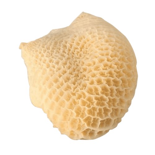 Callo Mondongo Kilo 1000 g