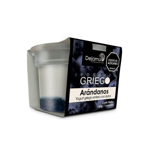 Yogurt Griego Dejamu Entero Arandanos x 160 g