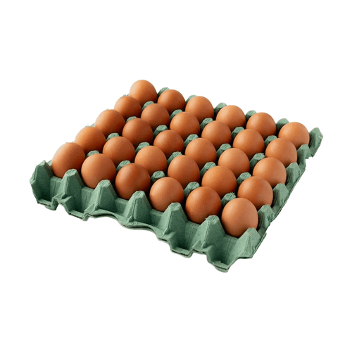 Huevo Tipo AAA 100% Huevos Pet x 30 und