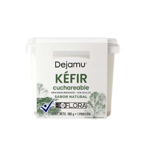 Kefir Dejamu Cuchareable Natural x 160 g
